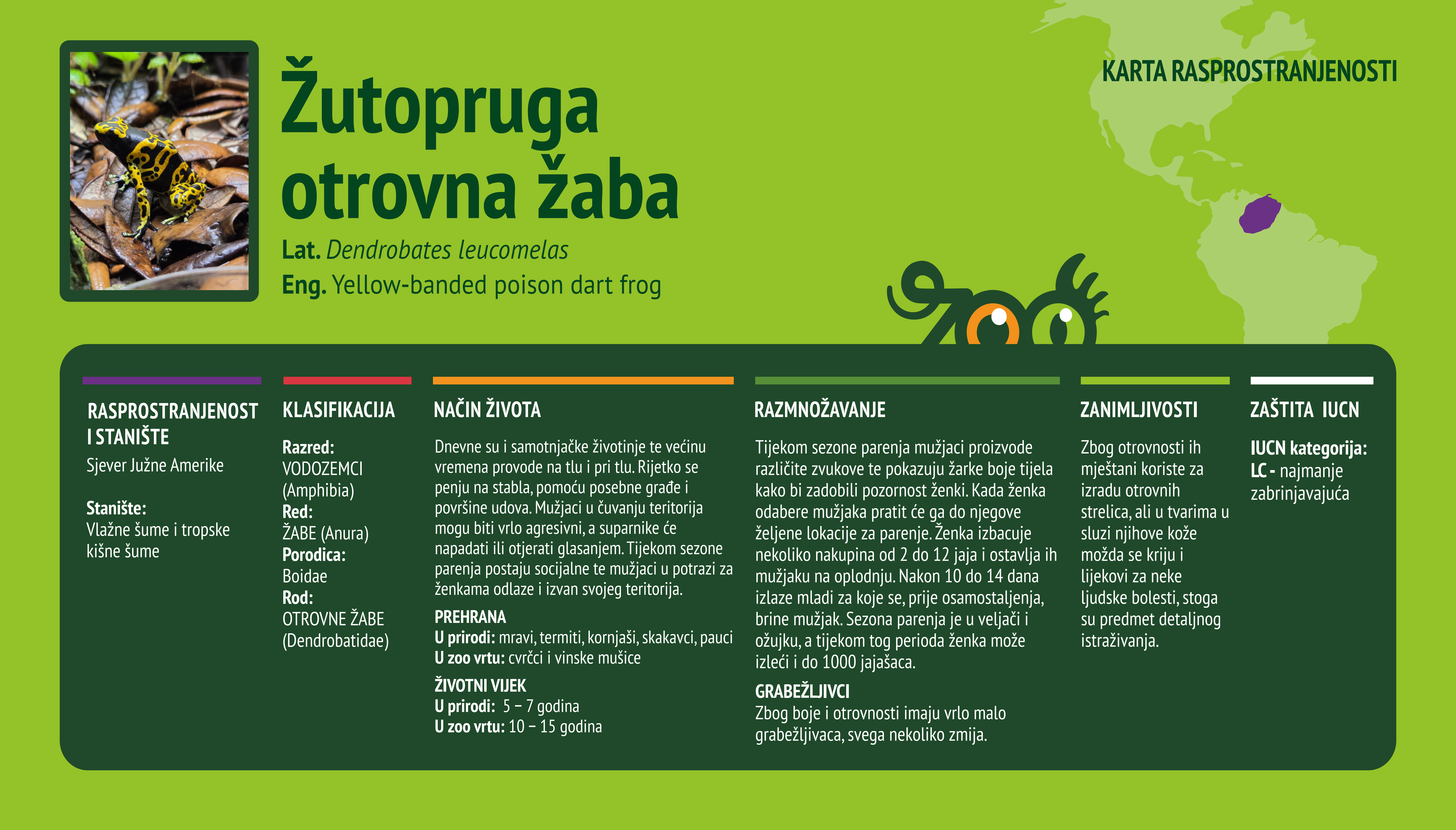 Žutopruga otrovna žaba (Dendrobates leucomelas) 